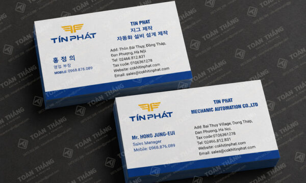 in name card cá nhân, in danh thiếp giám đốc, in danh thiếp doanh nhân, in card visit bất động sản