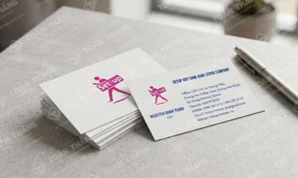 in name card cá nhân, in danh thiếp giám đốc, in danh thiếp doanh nhân, in card visit bất động sản