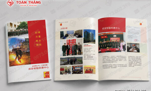 in catalogue