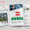 Kích thước catalogue