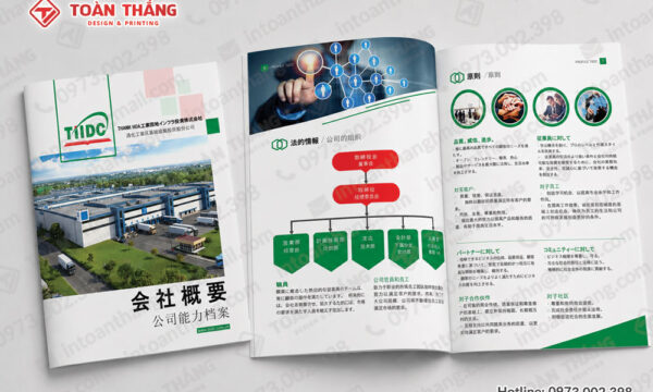 Kích thước catalogue